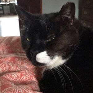 Meet your Posher, Fiona